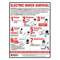 ELECTRIC SHOCK SURVIVAL SIGN MTL